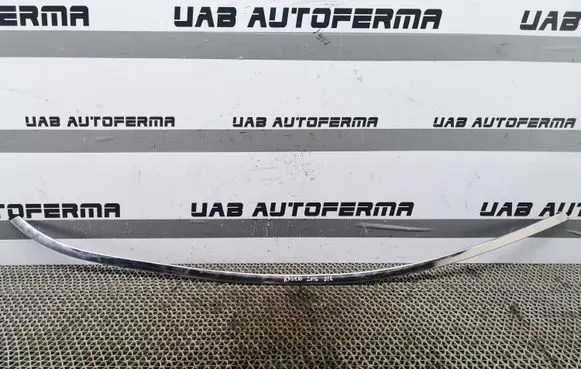 Nissan Qashqai Front door glass trim molding 802824EA1A