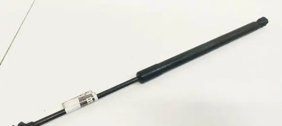 Tailgate/trunk strut/damper