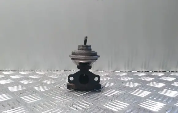 Volkswagen Golf IV EGR valve 028131501E