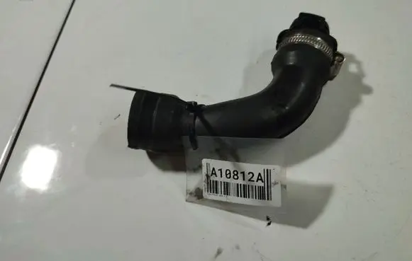 Ford Focus Engine coolant pipe/hose 