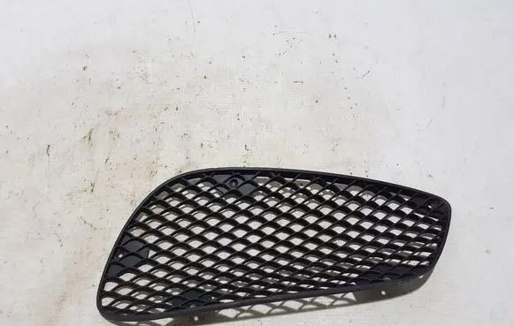 Front bumper lower grill