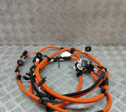 Citroen C4 II Other wiring loom 9841284180