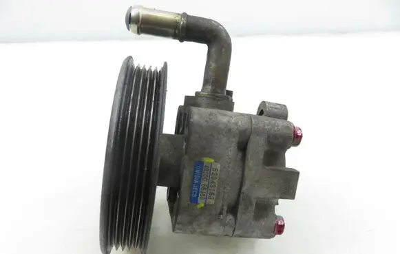 Suzuki Grand Vitara II Power steering pump 4910065J00