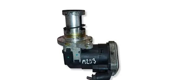 BMW 1 E82 E88 EGR valve 22T198 724809590