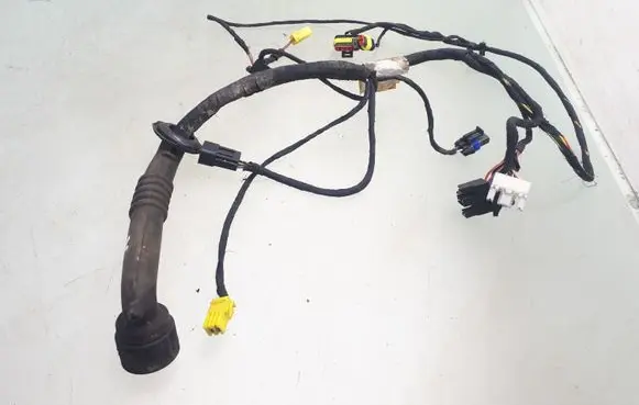 Front door wiring loom