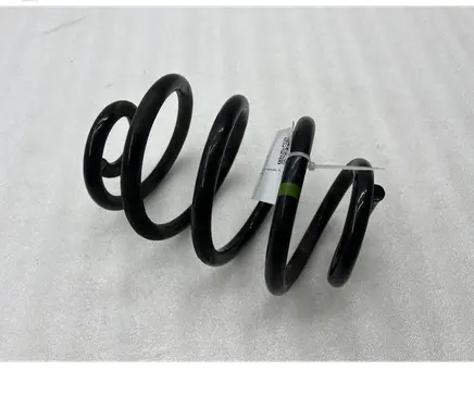 Rear coil spring