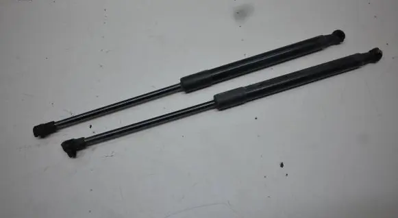Tailgate/trunk strut/damper