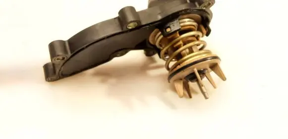Thermostat/thermostat housing