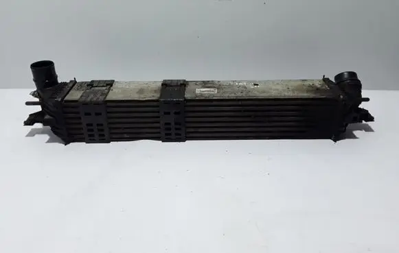 Renault Latitude (L70) Intercooler radiator 144960017R