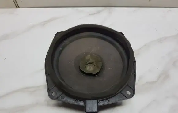 Mitsubishi Pajero Front door speaker