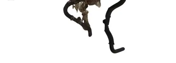 Toyota Corolla Verso E121 Engine coolant pipe/hose NOCODE