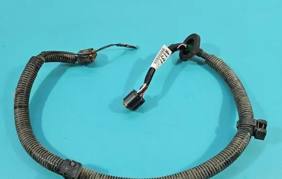Other wiring loom