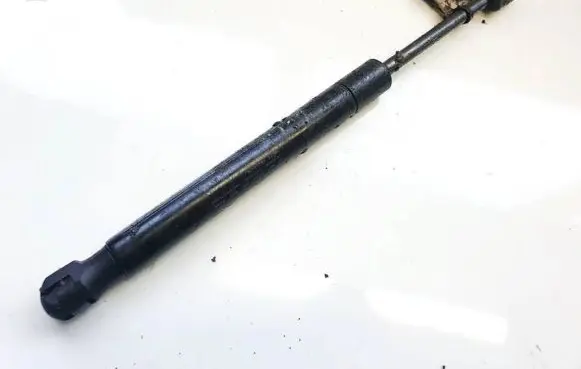 Tailgate/trunk strut/damper
