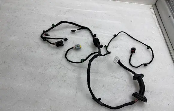 Rear door wiring loom