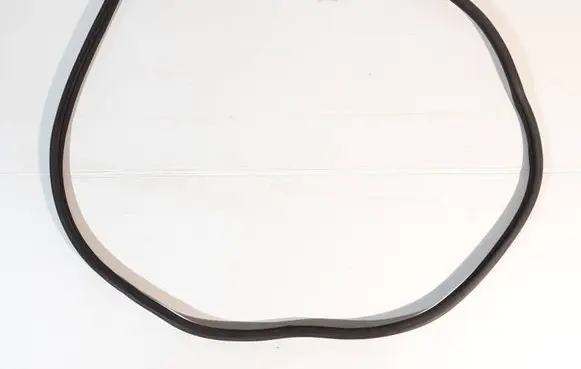 MG ZS Rear door rubber seal (on body) 