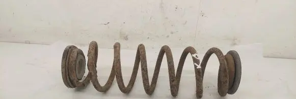 Volkswagen PASSAT B6 Rear coil spring