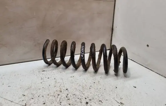 KIA Carens II Rear coil spring