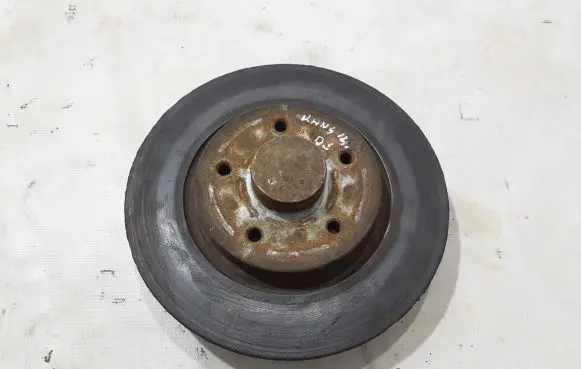 Renault Kangoo II Rear brake disc 402024076R