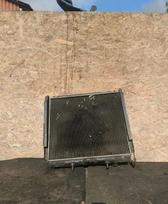 Hyundai Terracan Coolant radiator 25310H1920