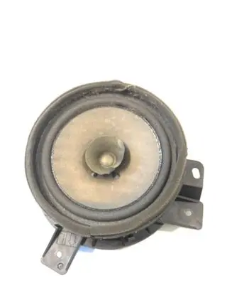 Rear door speaker