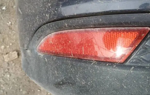 Ford Focus Rear tail light reflector