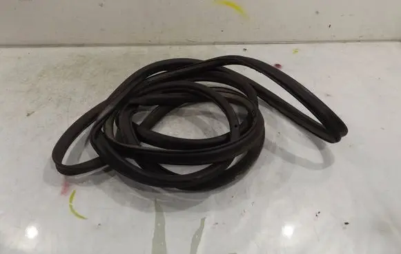 Volkswagen Polo IV 9N3 Front door rubber seal 