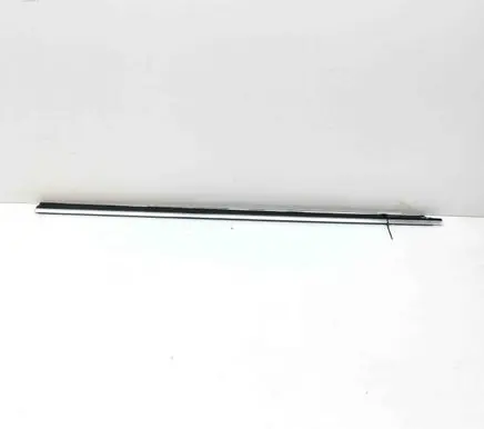 Mercedes-Benz S W140 Rear door glass trim molding A1406903980