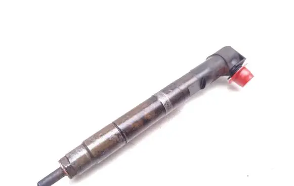 Mercedes-Benz Sprinter W906 Fuel injector A6510703087 28307309