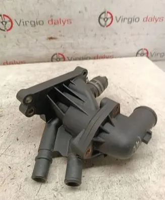Thermostat/thermostat housing