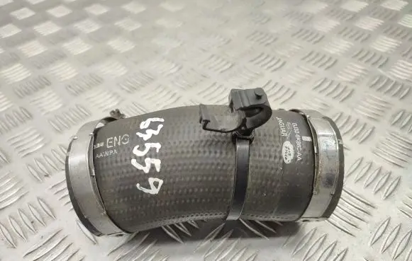 Land Rover Range Rover Evoque L538 Intercooler hose/pipe GJ326K863AA