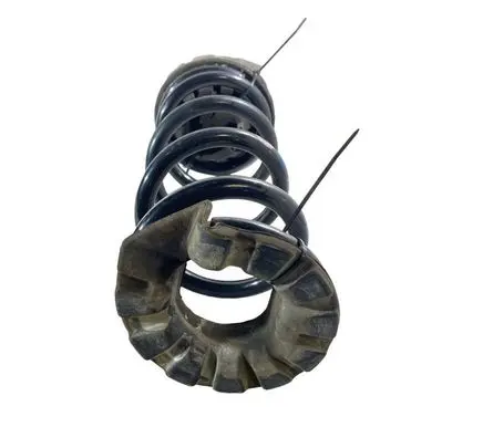 Nissan Murano Z52 Rear coil spring 550363JA0A 550205AA0C