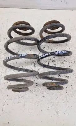 Rear coil spring