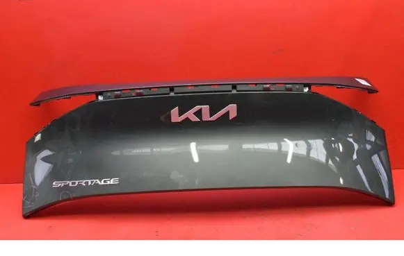 KIA Sportage Number plate light 87310R2010