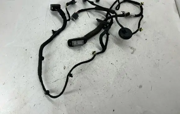 Rear door wiring loom