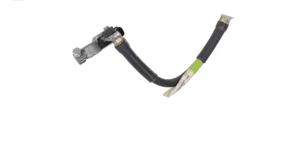 Positive wiring loom
