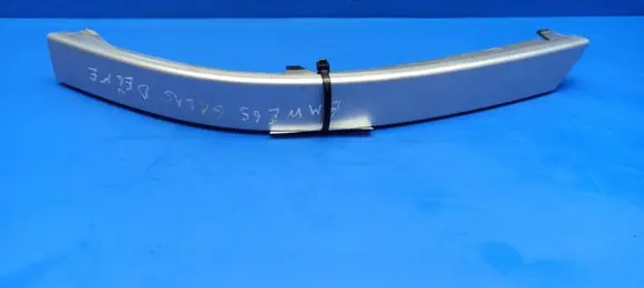 Rear/tail light trim molding
