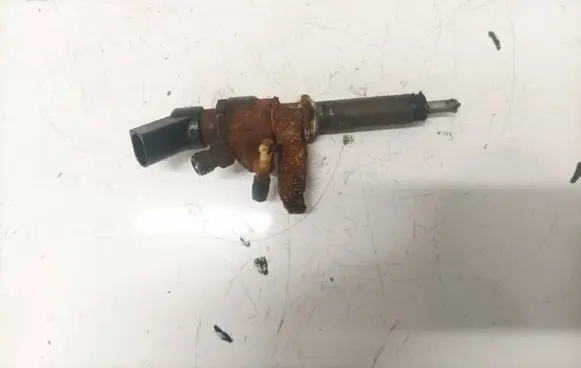 Peugeot Partner Fuel injector
