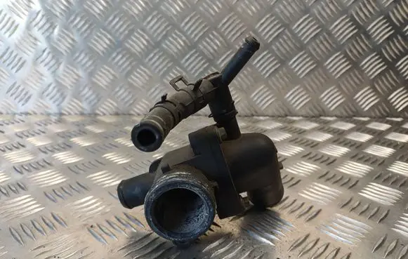 Thermostat/thermostat housing