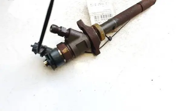 Citroen C3 Picasso Fuel injector 0445110297