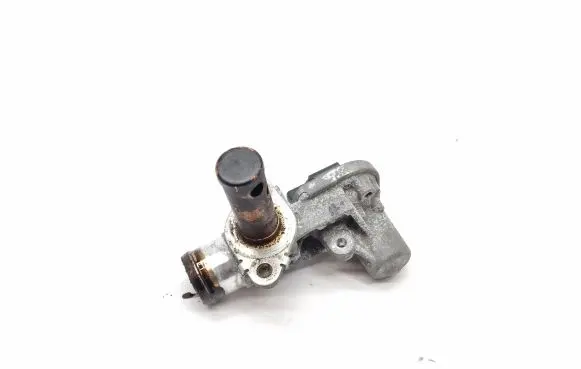 Chrysler Pacifica EGR valve E1520018985AD