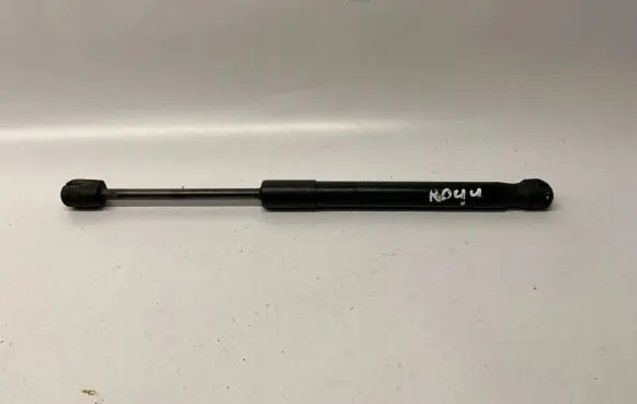 Ford Mustang VI Tailgate/trunk strut/damper FR3B63406A10BB