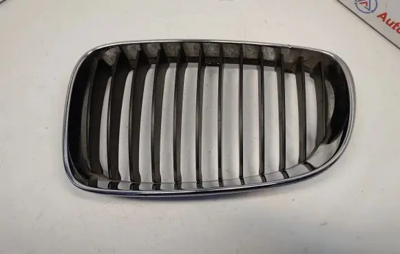 BMW 1 E81 E87 Front grill 51137166439