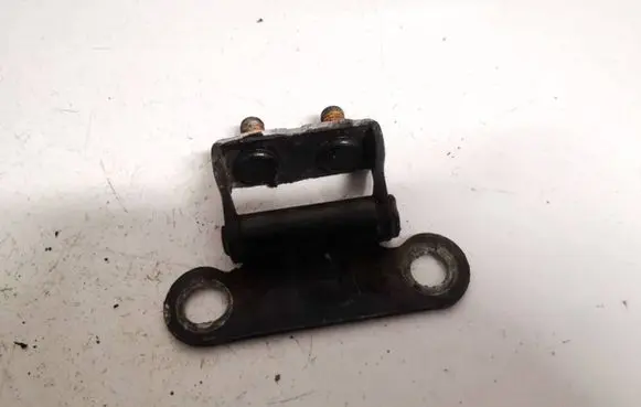 Tailgate/trunk/boot hinge