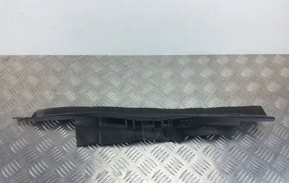 Fender trim (molding)