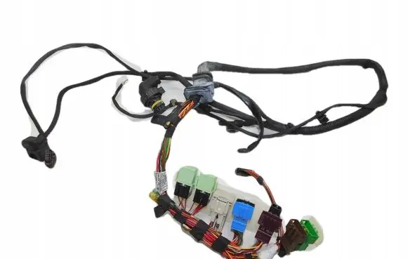 BMW X6 F16 Other wiring loom 738096805B