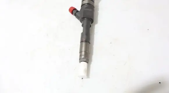 Renault Megane II Fuel injector