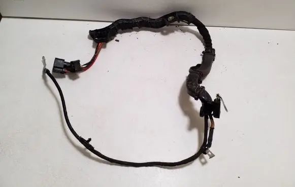 Other wiring loom