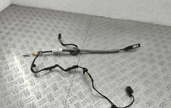 Volkswagen Touran III Front door wiring loom 5TA972295A