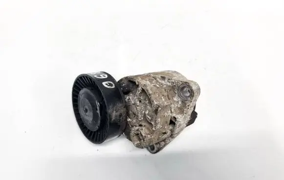 KIA Carnival Generator/alternator belt tensioner