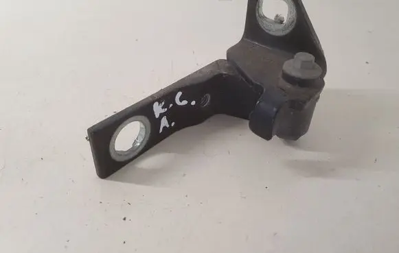 Ford Galaxy Rear door lower hinge